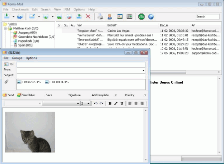 Интерфейс программы Koma-Mail