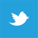 Windows Phone Marketplace Twitter Logo