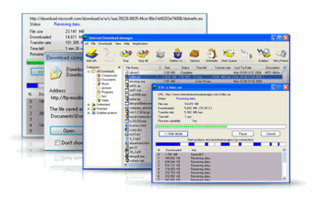 Internet Download Manager v.6.1.4 Build 5 - диспетчер закачек для ОС Windows