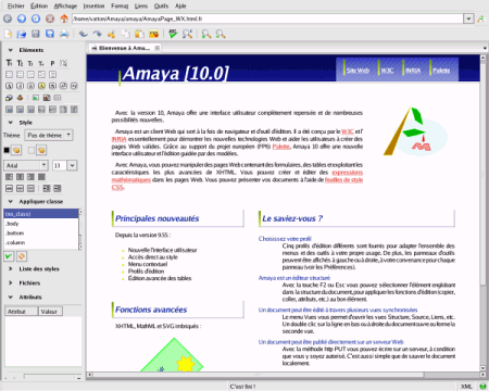 Интерфейс Amaya