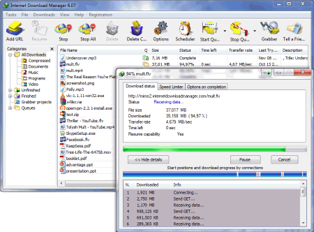 Internet Download Manager