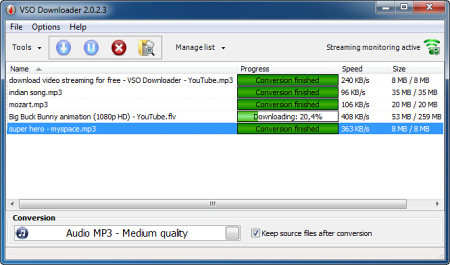 Интерфейс VSO Downloader