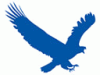 EagleGet Logo