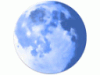 Pale Moon Logo