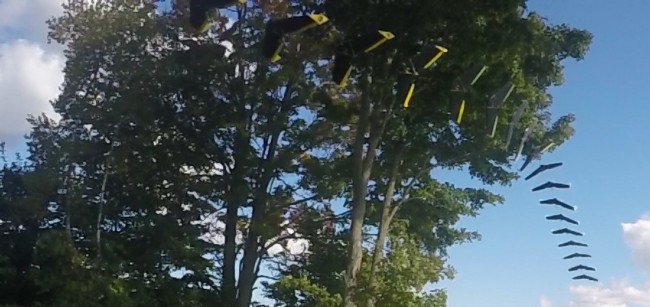 Созданный студентом алгоритм позволяет дронам самостоятельно выбирать безопасный маршрут при скорости до 50 км/ч