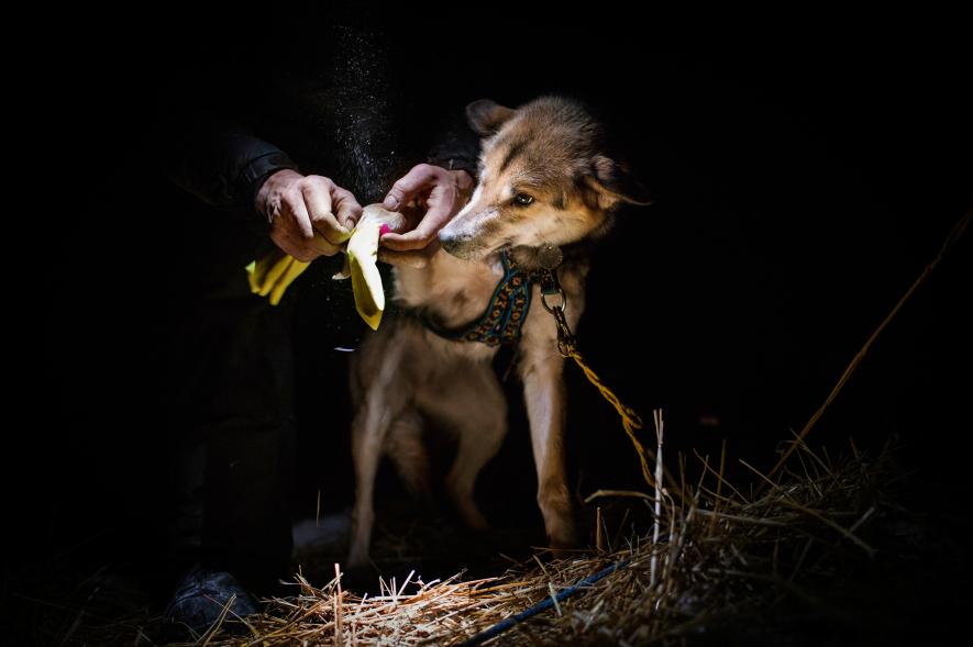 Редакция National Geographic выбрала самые незабываемые фото 2015 года