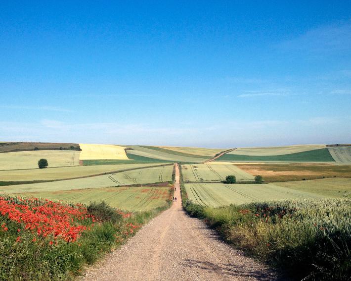 Редакция National Geographic выбрала самые незабываемые фото 2015 года