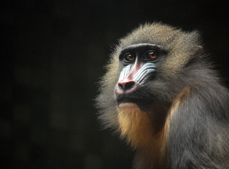 С Новым, 2106 годом!