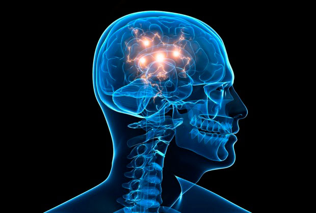 Мозг человека может запомнить весь Интернет