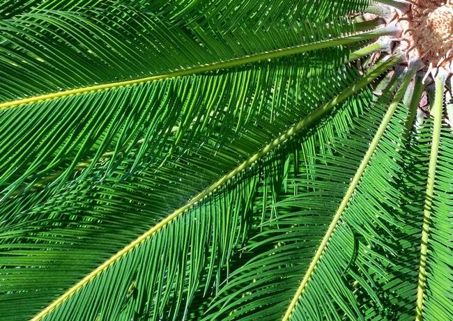 Вице-президент Xiaomi опубликовал новую фотографию, сделанную камерой смартфона Xiaomi Mi 5