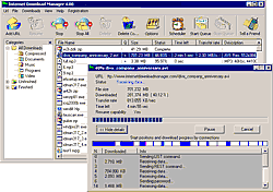 Менеджеры закачек: Internet Download Manager v.5.03