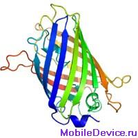 recordable proteins технология