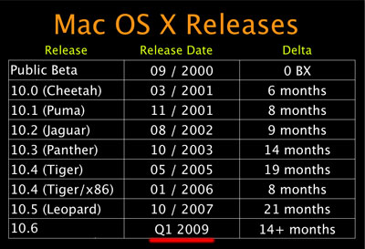 Mac OS X 10.6 будет выпущена в I квартале 2009 года?