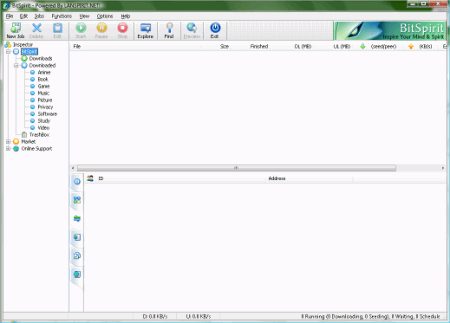 Файловые обменники: BitSpirit v.3.5.0.256