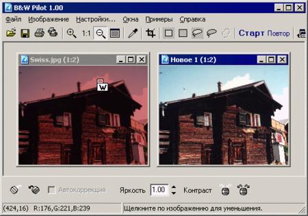 Black and White Pilot 1.00