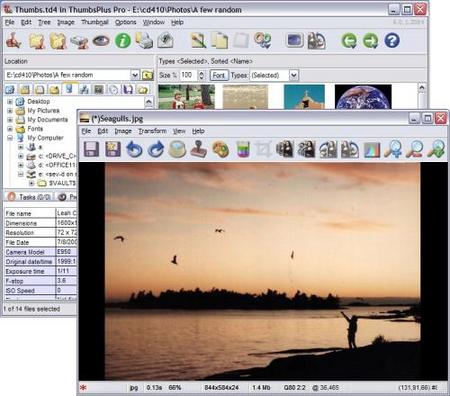 ThumbsPlus 7.0 Build 2103